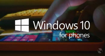 Win10手機(jī)版最后一輪內(nèi)測即將啟動，IT浪潮中的移動開發(fā)新篇章
