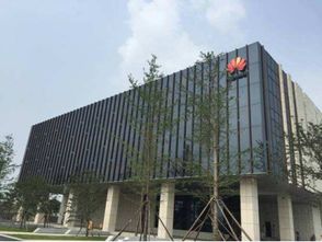 眾巨頭入駐襄陽云谷，金融外包服務繪就城市未來新藍圖