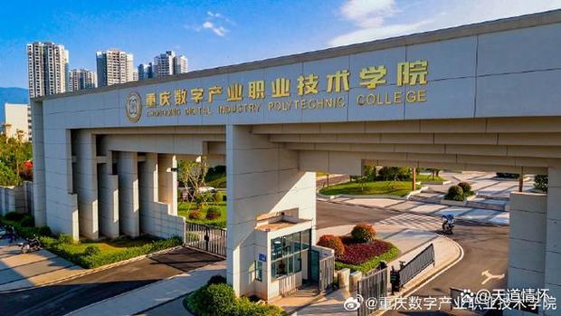 重慶數(shù)字產(chǎn)業(yè)職業(yè)技術(shù)學(xué)院